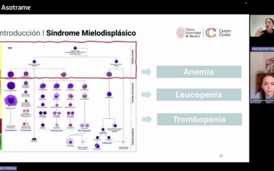 ¿Qué son los síndromes mielodisplásicos?