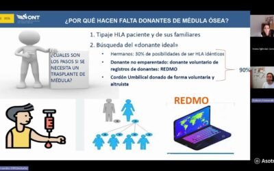 Donación y trasplante de médula ósea
